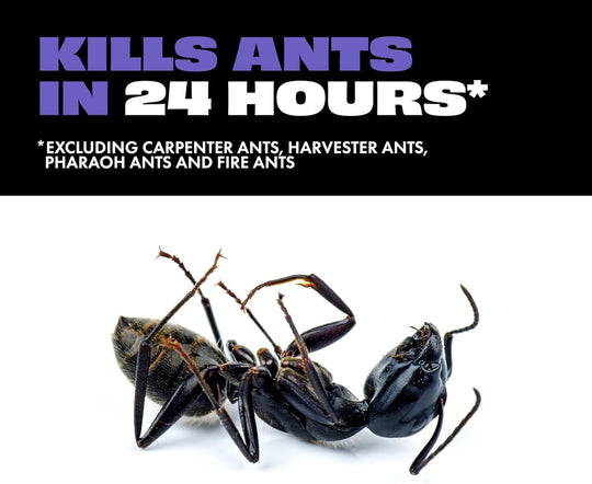 Liquid Ant Baits, Kills the Queen and Colony, for Indoor Use, 12 Spill Proof Bait Stations
