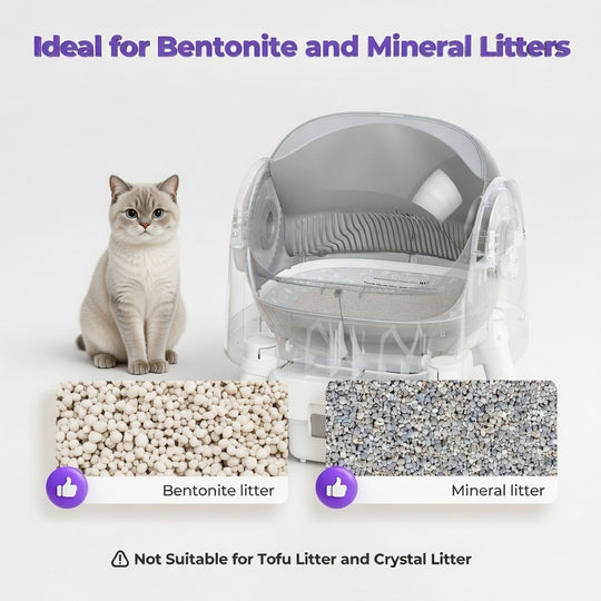 Automatic Self-Cleaning Cat Litter Box – Open-Top Design with Safety Sensors, Odor Control & Easy Waste Disposal | Essentials
