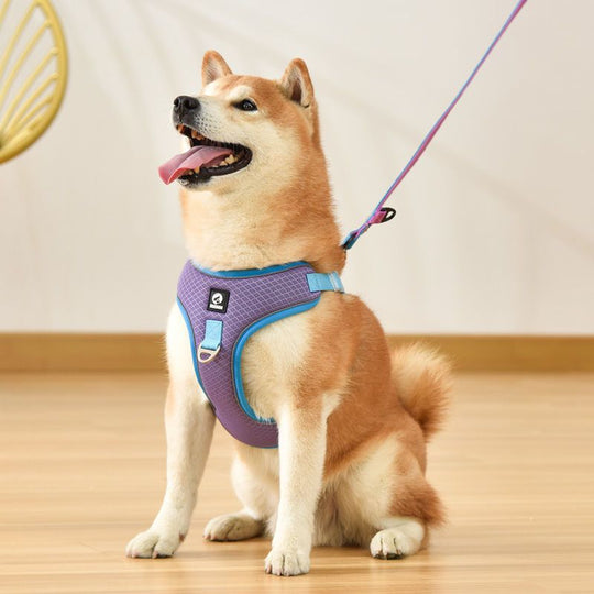 Pet Dog Harness Puppy Adjustable Breathable Mesh Reflective Saddle for Small Medium Dogs Cats Pet Supplies | Essentials Online Store 