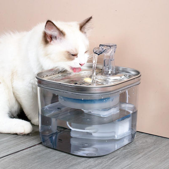 Cat Water Fountain, Smart Pet Water Fountain with Filter Element, Visual Water Level Pet Drinking Fountain, Pet Feeding Supplies for Cats and Dogs