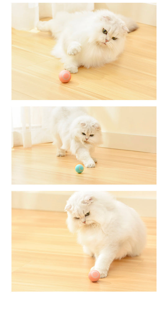 Cat Gravity Intelligent Rolling Ball Tease Toy Pet Automatic Rotating Ball | Essentials online Store