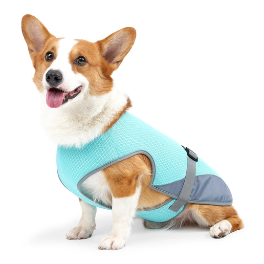 Cooling Vest - Breathable Dog Vest for Hot Summer Days - Adjustable & Lightweight Cooling Jacket with Reflective Strips  | At Essentials Online store