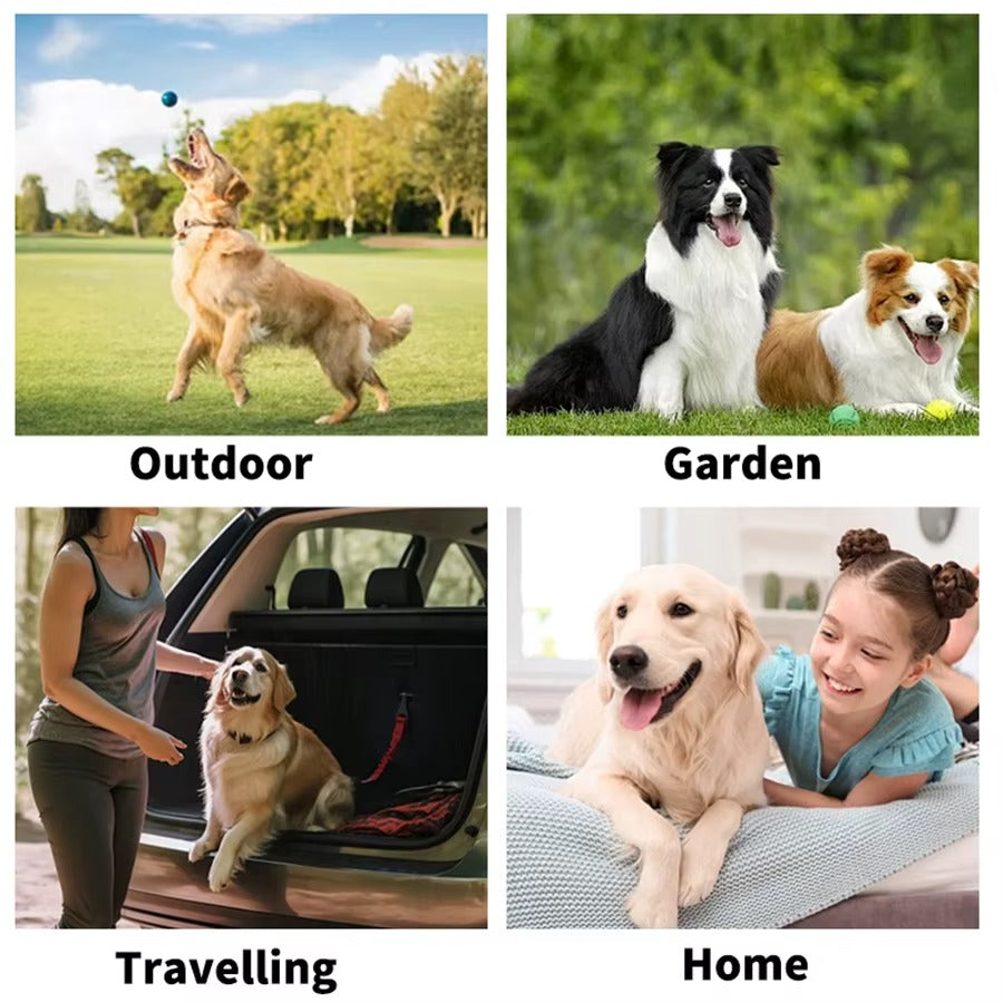 Pet Cleaning Wipe Gloves for Dogs & Cats – Deodorizing Bathing Wipes for Body, Paws & Daily Care | Essentials