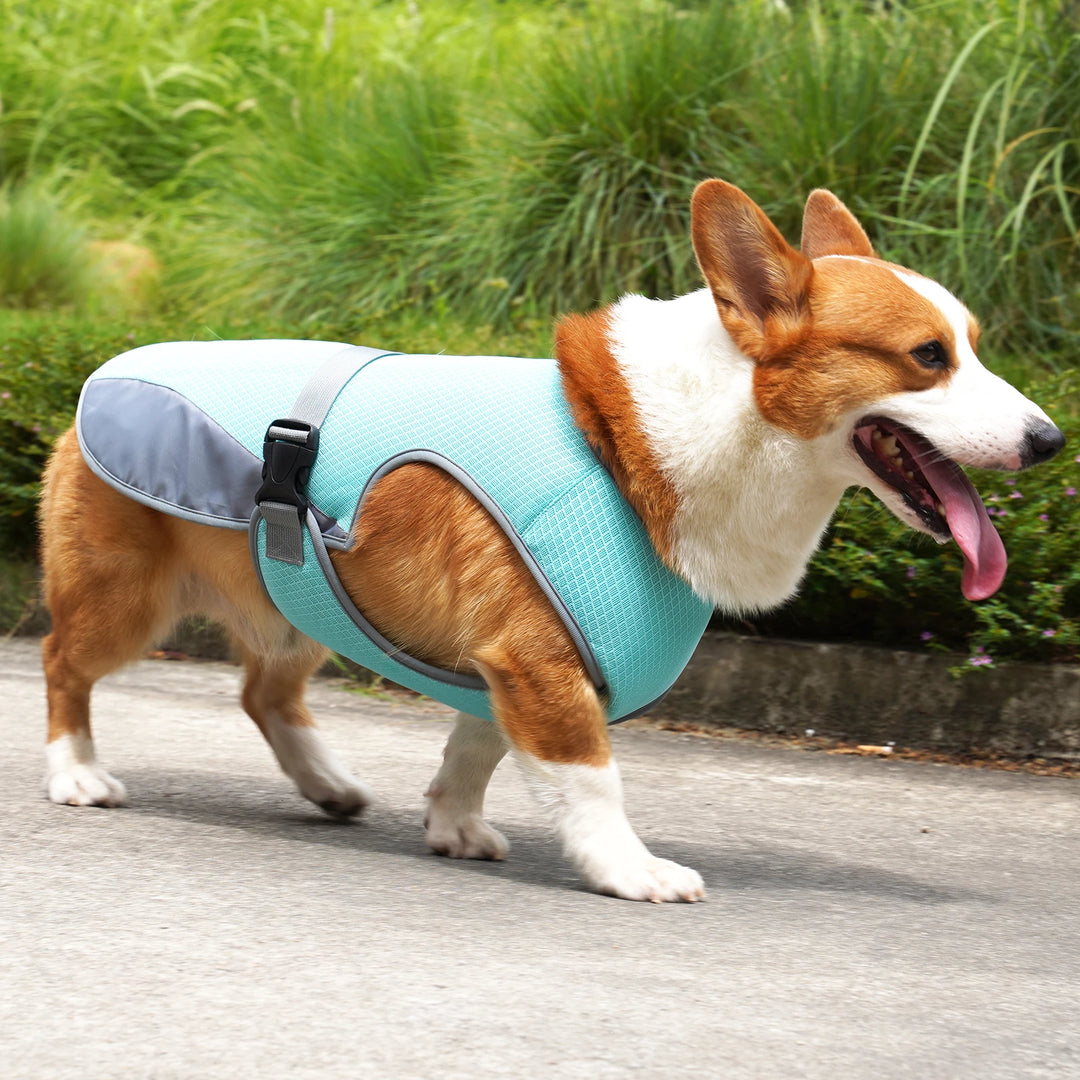 Cooling Vest - Breathable Dog Vest for Hot Summer Days - Adjustable & Lightweight Cooling Jacket with Reflective Strips  | At Essentials Online store