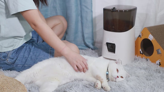 Smart Home Pet Feeder – WiFi Controlled Automatic Food Dispenser with Built-in HD Camera