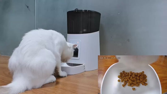 Smart Home Pet Feeder – WiFi Controlled Automatic Food Dispenser with Built-in HD Camera